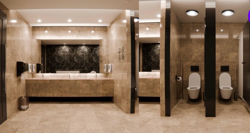 Premium public toilet interior with washbasins and private stalls